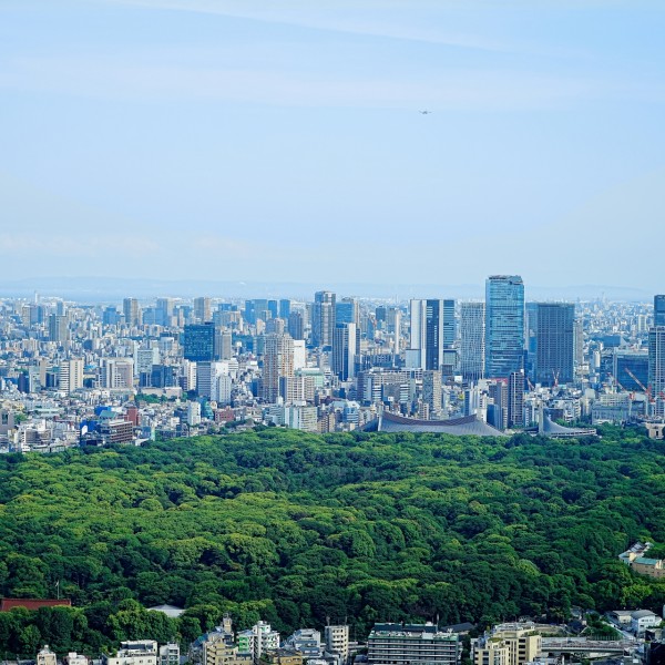 都心の便利さと快適な暮らし東京の建売・分譲住宅の魅力