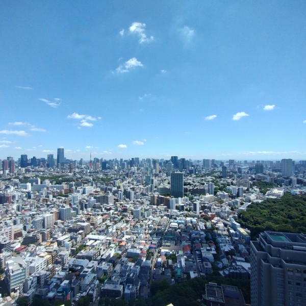 東京で建売・分譲住宅を購入する際の注意点、失敗しないためのポイントとは？