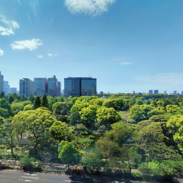 東京の建売・分譲住宅エリア、自然が多い場所はどこ？
