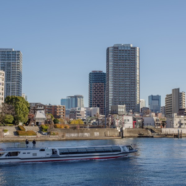 東京の分譲住宅を彩る最新のインテリアトレンド