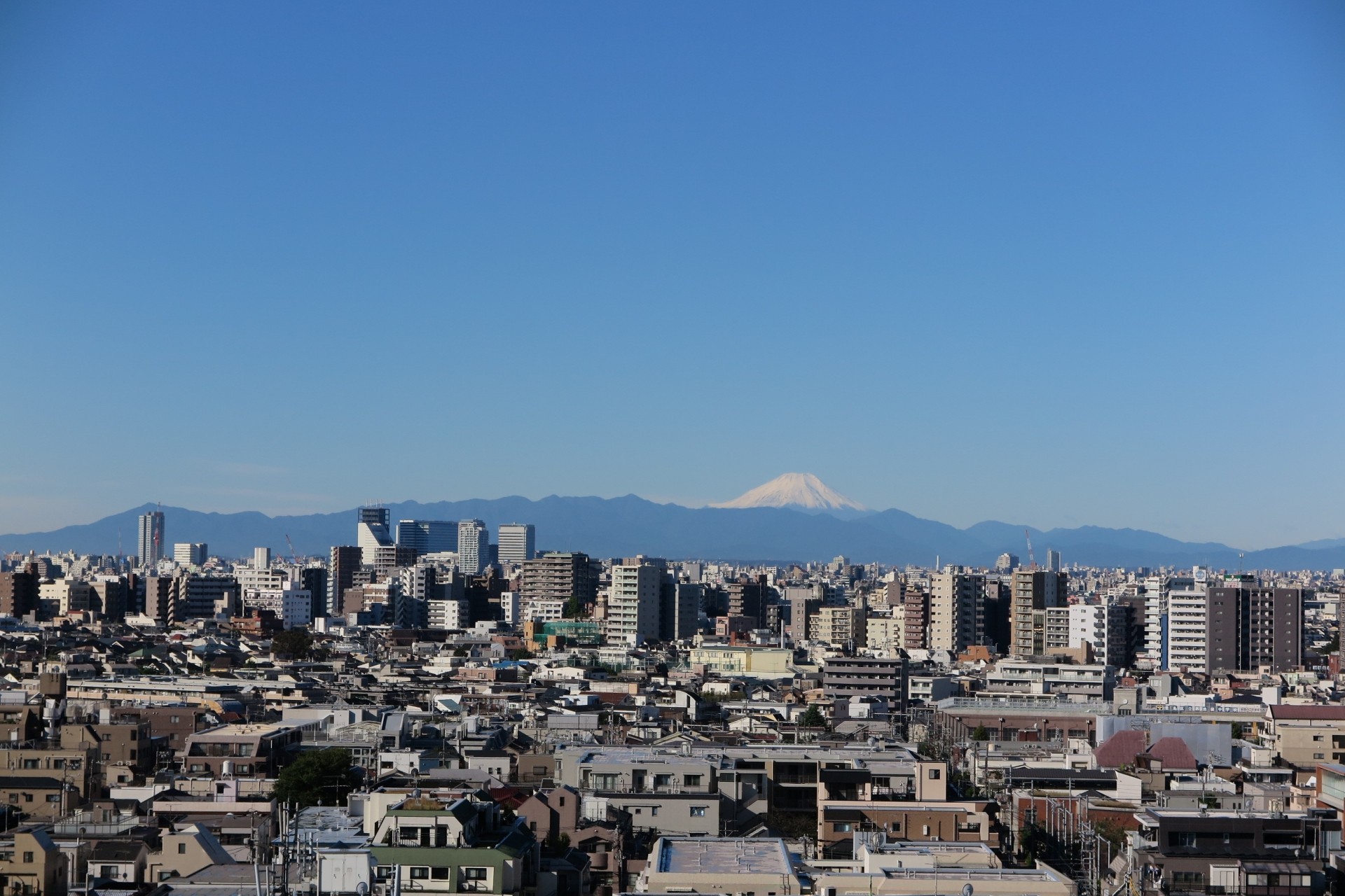 東京での賢い住宅選び、建売・分譲住宅購入のポイント